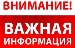 О профилактике инфекций, передающихся при укусе клещей.